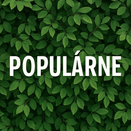 Populárne / Odporúčané